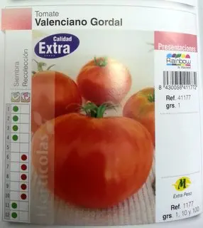 Imagen MASCARELL TOMATE VALENCIANO GORDAL