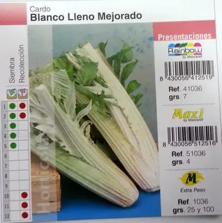 Imagen MASCARELL CARDO BLANCO LLENO MEJORADO -25