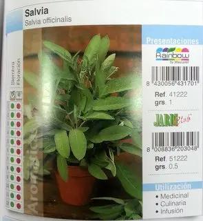 Imagen MASCARELL SALVIA