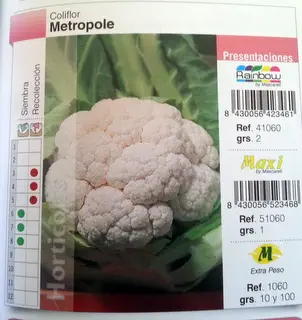 Imagen MASCARELL COLIFLOR METROPOLE