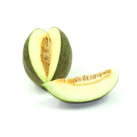 Imagen MELON RICAMIEL PIEL DE SAPO 104