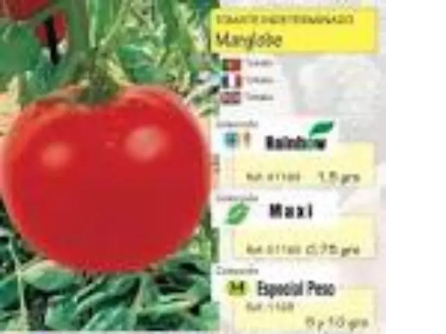 Imagen MASCARELL TOMATE MARGLOBE 