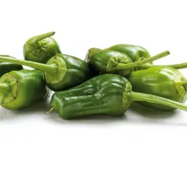 Imagen HOBBY PIMIENTO PADRON  PACK  6