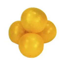 Imagen HOBBY TOMATE CHERRY AMARILLO  PACK 1- 22