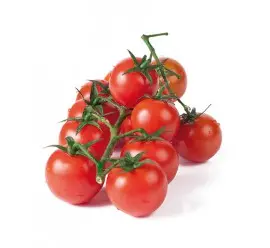 Imagen HOBBY TOMATE CHERRY REDONDO  PACK 1 -22