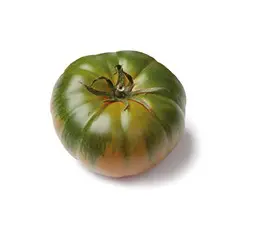 Imagen HOBBY TOMATE MARMANDE RAF  PACK 1 -22