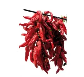 Imagen PIMIENTO CORNICABRA  247