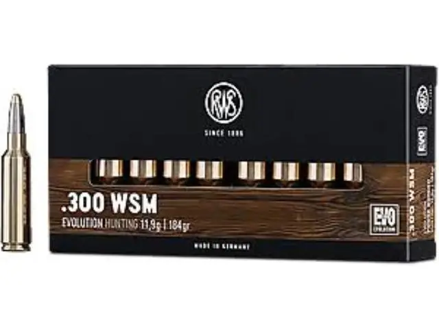 Imagen RWS 300 WSM EVO 184 G.-25/01