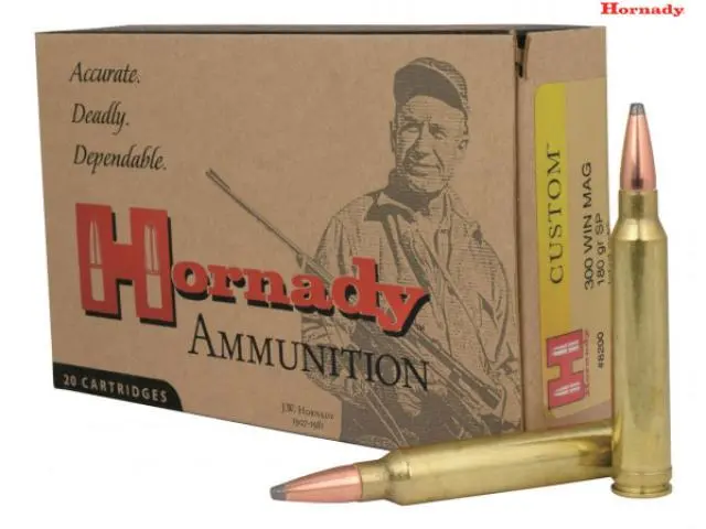 Imagen HORNADY CUSTOM CALIBRE 300 180 GRS PUNTA PLOMO.-23/01