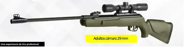 Imagen CARABINA GAMO BIG CAT 1000-E BARRICADE 4,5