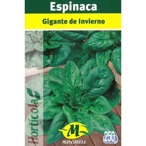 Imagen MASCARELL ESPINACA GIGANTE DE INVIERNO 250 gr.