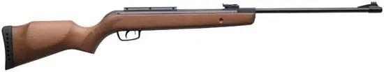 Imagen CARABINA GAMO HUNTER 440 CAL.4.5 - 24