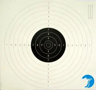 Imagen BLANCO PISTOLA STANDAR (DUELO -PRECI) 55-52 +08