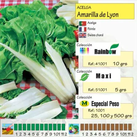 Imagen MASCARELL ACELGA AMARILLA DE LYON-13