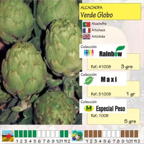 Imagen MASCARELL ALCACHOFA VERDE GLOBO -25