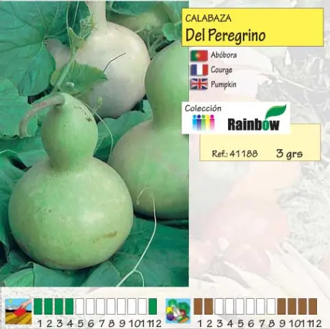 Imagen MASCARELL CALABAZA DEL PEREGRINO -25