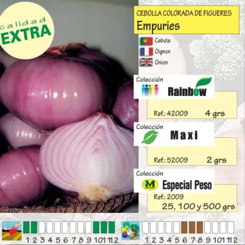 Imagen MASCARELL CEBOLLA COLORADA FIGUERES -25