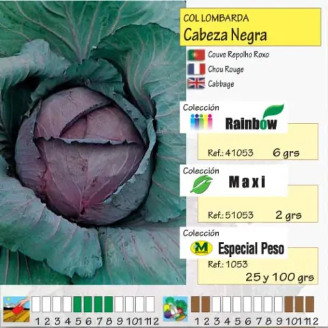 Imagen MASCARELL COL LOMBARDA CABEZA NEGRA -24