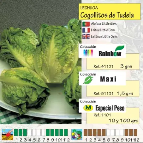 Imagen MASCARELL LECHUGA COGOLLITOS TUDELA-13