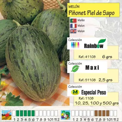 Imagen MASCARELL MELON PIONET PIEL SAPO -13