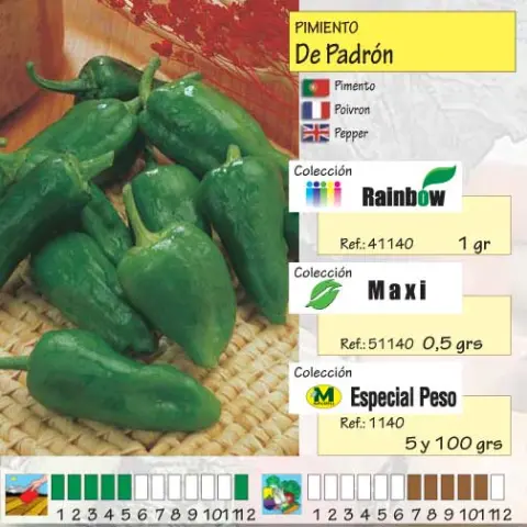 Imagen MASCARELL PIMIENTO DE PADRON-13