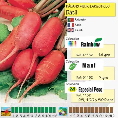 Imagen MASCARELL RABANO MEDIO LARGO DATIL-13