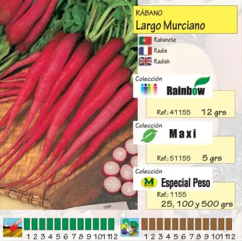 Imagen MASCARELL RABANO LARGO MURCIANO-13