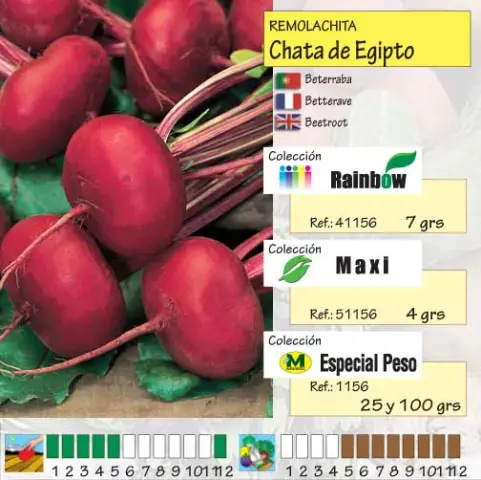 Imagen MASCARELL REMOLACHITA CHATA DE EGIPTO-13