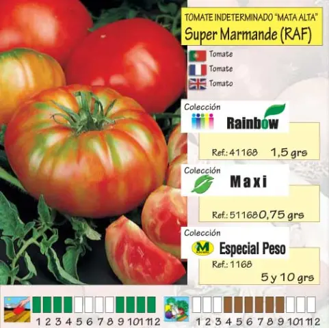 Imagen MASCARELL TOMATE SUPER MARMAMDE RAF -23