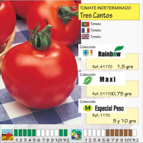 Imagen MASCARELL TOMATE TRES CANTOS-13