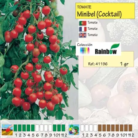 Imagen MASCARELL TOMATE MINIBEL (CHERRY) -13