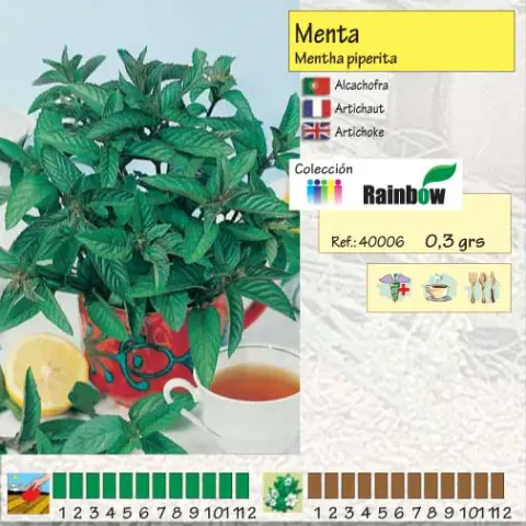 Imagen MASCARELL MENTA -25