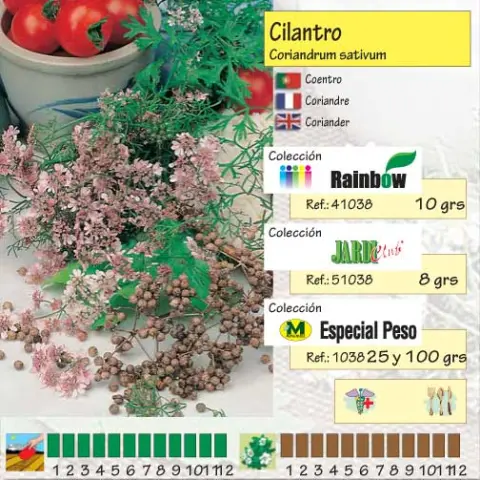 Imagen MASCARELL CILANTRO -25