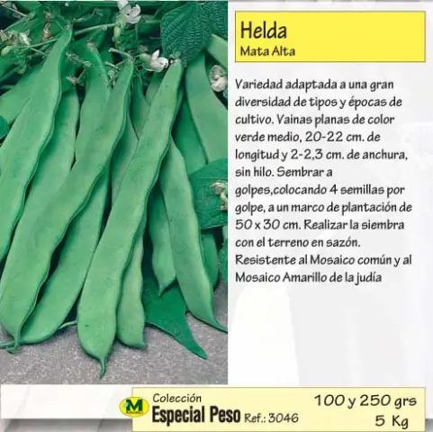 Imagen MASCARELL JUDIA HELDA MATA ALTA 250GR.-17