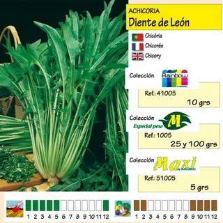 Imagen MASCARELL ACHICORIA DIENTE DE LEON -25