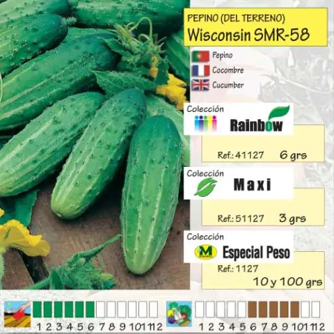 Imagen MASCARELL PEPINO WISCONSIN SMR-13