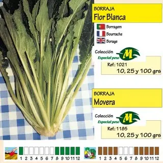 Imagen MASCARELL BORRAJA FLOR BLANCA 3 GRS-18