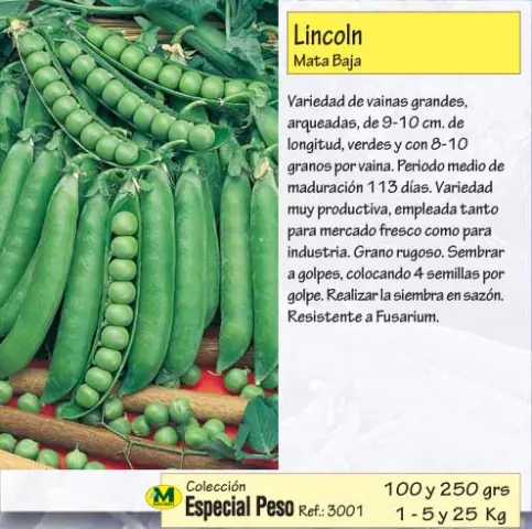 Imagen MASCARELL GUISANTE LINCOLN 250gr MATA BAJA, TEMPRANO