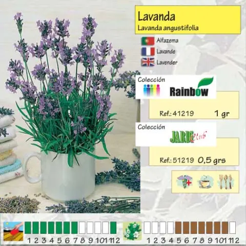 Imagen MASCARELL LAVANDA OFFICINALIS -25
