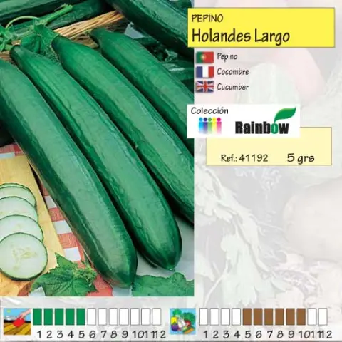 Imagen MASCARELL PEPINO LARGO HOLANDES -23