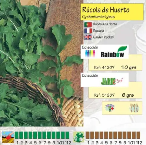 Imagen MASCARELL RUCOLA DE HUERTO -22