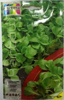 Imagen MASCARELL VALERIANA-CANONIGOS -25